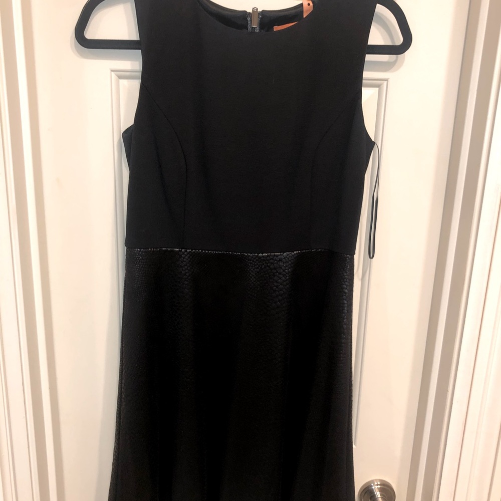 ALine Dress Faux Snakeskin Skirt